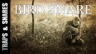 Survival Bird Snare: EASY Wild Game Trap (Wire & Pocket Knife ONLY!) 🐦🔪