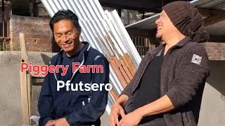 Piggery Farm at Pfutsero 