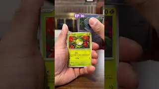 Black Bolt! Can we get a hit? #pokemon #pokemontcg #collectiblecards #pokemoncommunity