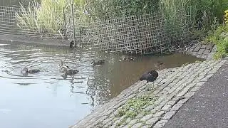 Day trip to Leazes Park in Newcastle