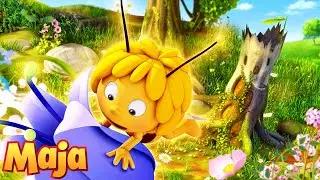 Natur- & Bienenstockger&auml;usche mit Maya, entspannende ASMR-Session 🐝  Biene Maja