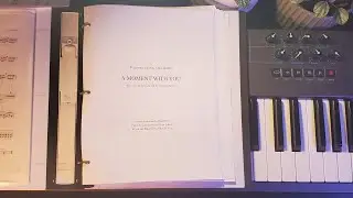 Liam Carney - A Moment With You (feat. Lindsay Gow-Kateb) [Score Video]