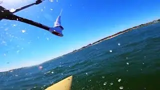 Dreamy Saco Bay