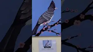 Revisit my last days in 2025 #vlog #days