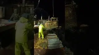 Fishing black cod on the Deadliest Seas 