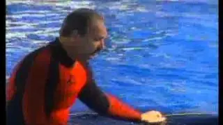 Whale Done Leadership Programs