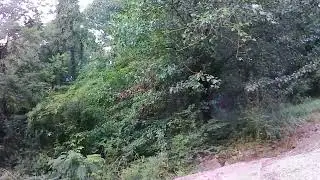 Biking in Big Cove on a Co-op DRT 1.1 - part 2