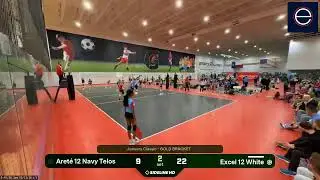 Excel 12 White vs. Aret&eacute; 12 Navy Telos (2026.01.11)