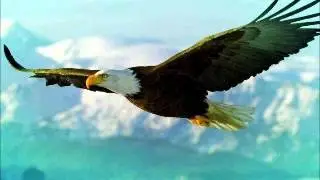 2013 PROPHETIC MESSAGE FOR THE CHURCH OF JESUS CHRIST: 