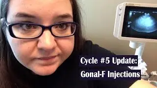 Lesbian TTC Update: Gonal-F Injections
