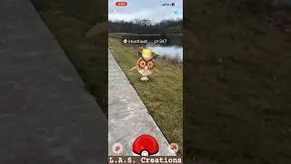 Catching and evolving New Year&rsquo;s Hoothoot in #pokemongo