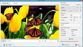 How to Optimize Photos for Web - Save the Quality of Your Images!