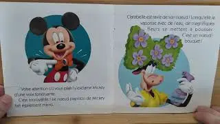 La boutique de Minnie