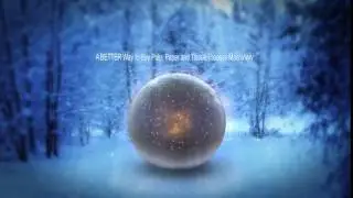 AVPLLC 2016 Christmas