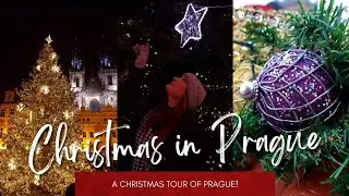 Christmas In Prague: A City Tour Of The Christmas Market And Old Town Square