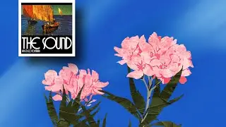 ►Amedeo Tommasi◄ - Marina