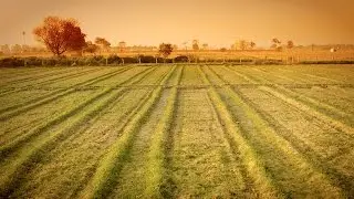 PUNJAB DROWNING IN ALCOHOL,EVERY PUNJABI MUST WATCH