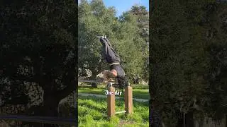 Day one vs One day, don&rsquo;t give up #calisthenics