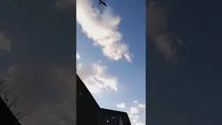 High together  #birds #sky #clouds #nature