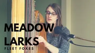 Meadowlarks - Fleet Foxes | Harp Cover