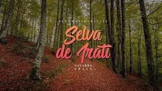 Selva de irati (Navarra) - Slowmotionminute - RX100 IV