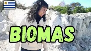 URUGUAY 🌳DESCUBRE la MAGIA del PARQUE BIOMAS en tus VACACIONES de julio 2023 en MONTEVIDEO URUGUAY🌳🌳