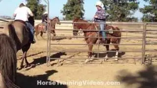 Ranch Sorting Practice & Clinic