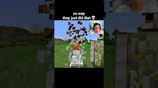 Minecraft Golem Moment
