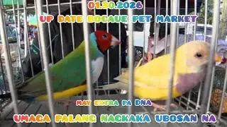 ep#143 01.30.2026 up date sa bocaue pet market. umaga palang nagkaka ubosan. may extra DNA pa.👌