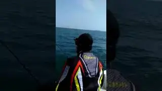 Catch Fish Using Appolo Technique