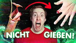 DUMM? Diese Pflanzen HALTEN MENSCHEN WIRKLICH
