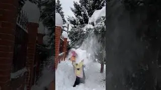 Инструкция как не надо чистить деревья от снега, пользуйтесь))😂