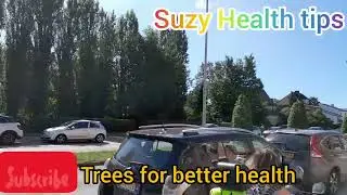 Plant trees for better health and longevity 