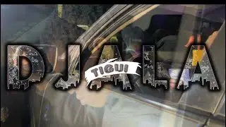 SCOTTY P - VIZUALIZER - DJALA TIGUI ( the life style)