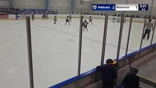 Woolwich Wildcats vs Waterloo Wolves - U12 AA - 01/09/2026