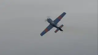 2019 Culpeper Air Fest - Scott Francis
