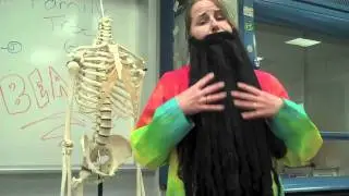 InstaBeard!