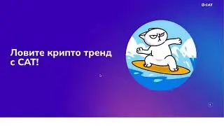 Что такое CAT