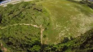 Test Dalprop cyclone 5050C