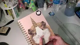 Michael's and Dollar Tree crafts supplies haul, Michael's Haul