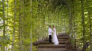 Ryam and Aimee| A cinematic treehouse  wedding trailer| #cinematicwedding #weddingvideo