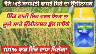 ਝੋਨੇ ਦਾ ਟੋਪ ਦਾ ਉੱਲੀਨਾਸ਼ਕ || Top fungicide in Rice crop || Priaxor fungicide Basf