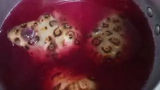 Recetas para hacer vino de noni