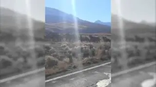 Awesome Video of a Huge Elk Herd by Telluride Colorado