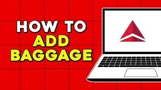 How To Add Baggage in Delta Airlines (Easiest Way)