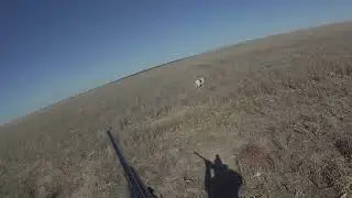 Wallace County Kansas11 12 22
