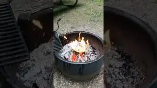 How I cook trout on a campfire