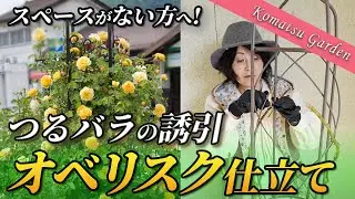 【つるバラの誘引】グラハムトーマスのオベリスク仕立て