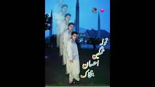 توله غمیگین احسان بت خاک