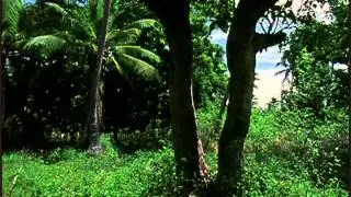 Kuo Hine 'E Hiapo: The Mulberry is White and Ready for Harvest Part 2